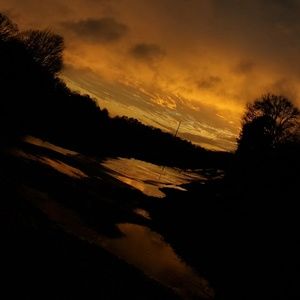 Meet your Posher, Sunshine